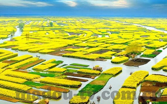 成人爱色视频国产-成人爱色视频国产，网络文化的灰色地带与影响