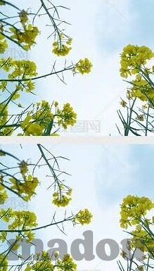 伦理视频-伦理视频，数字时代道德镜像的深度剖析