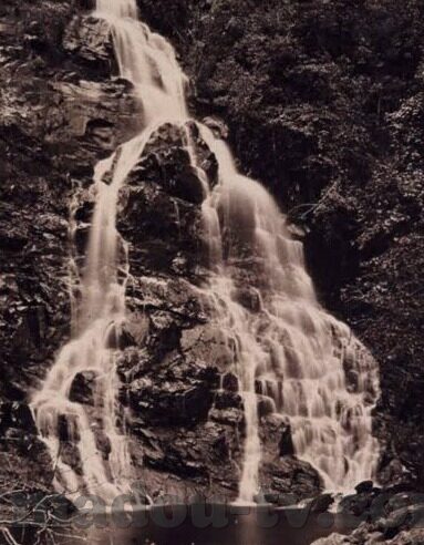 麻豆91幻星辰-探寻网络世界的一抹独特色彩，麻豆91幻星辰的迷人魅力