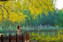 麻豆传媒大学-麻豆传媒大学，现代传媒教育的创意与实践前沿