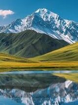 麻豆视频兔子先生-麻豆视频兔子先生，网络文化的现代寓言