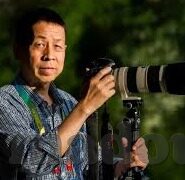 美味人妻2016-品味时光的佳肴，2016年美味人妻的温馨记忆