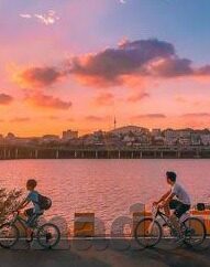 糖心播放器app-糖心播放器的绚烂视界——探索全新影音体验的秘密