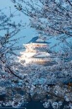 糖心v log官网入口免费-探索精彩生活瞬间 —— 糖心v log官网入口免费之旅