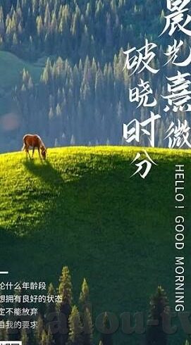 天美麻豆蜜桃91制片厂-探讨网络文化背后的多元化创作与边界——以天美麻豆蜜桃91制片厂为例