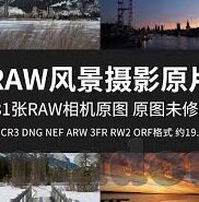 www日韩av在线-日韩AV在线，文化、艺术与伦理的交织