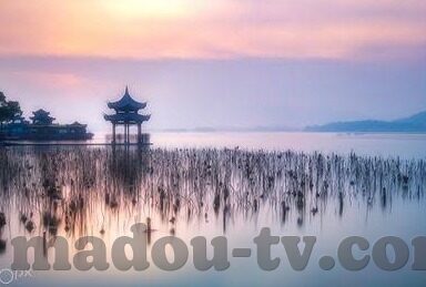 在线日韩av电影-在线日韩AV电影，文化、法律与道德的边界